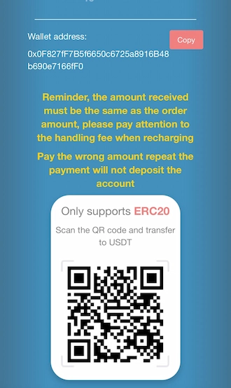 Step 4: Open your USDT cryptocurrency wallet and make payment via the wallet address or QR code.